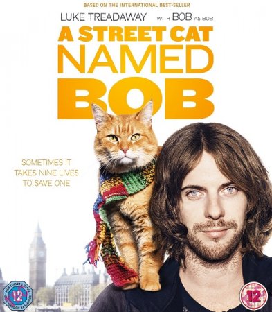 Постер к Уличный кот по кличке Боб