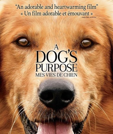 Постер к Собачья жизнь
